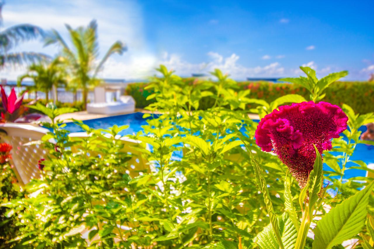 Hotel Aria Manzanillo Cartagena 外观 照片